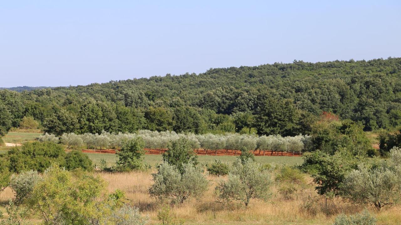 Casa Conte Istria Villa Kanfanar Exterior foto