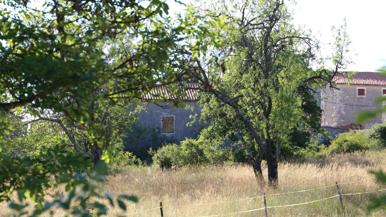 Casa Conte Istria Villa Kanfanar Exterior foto