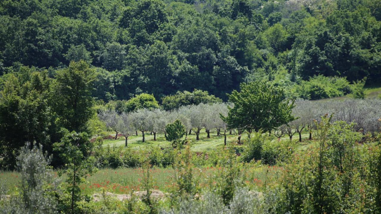 Casa Conte Istria Villa Kanfanar Exterior foto